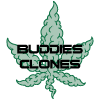 BuddiesClones